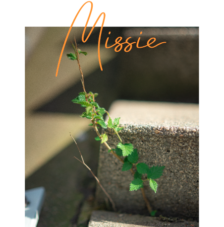 liesje-van-der-linden-wetenschap-mediumschap-missie2